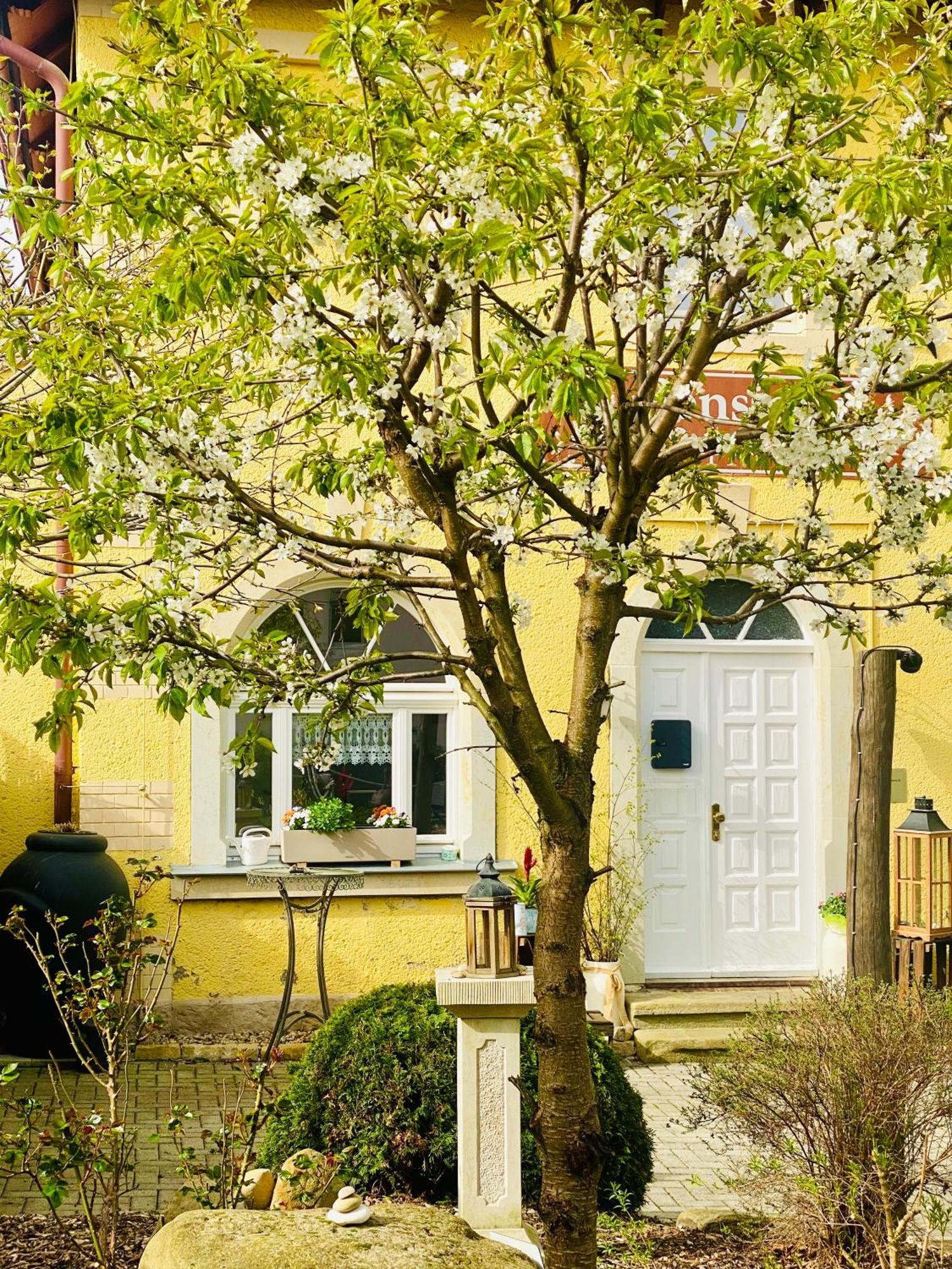 Restaurant Und Pension Zur Puppenstube Stolpen Exterior photo
